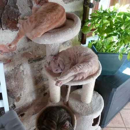 Maison d'hôtes Le Clos Fleuri