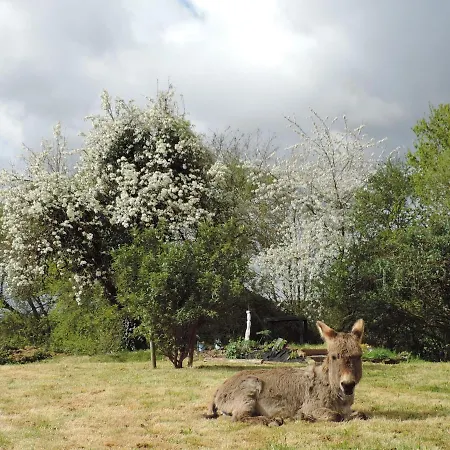 Le Clos Fleuri Guest house *