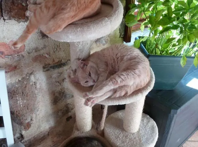 بيت ضيافة Le Clos Fleuri