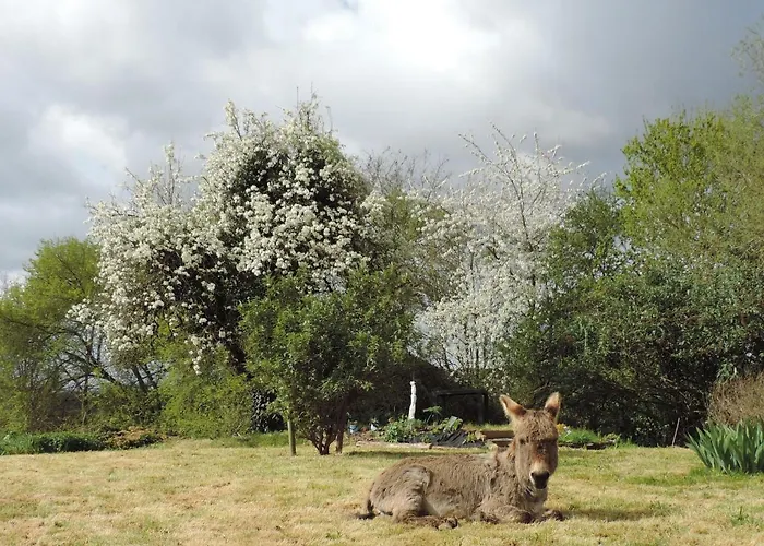 Le Clos Fleuri بيت ضيافة *