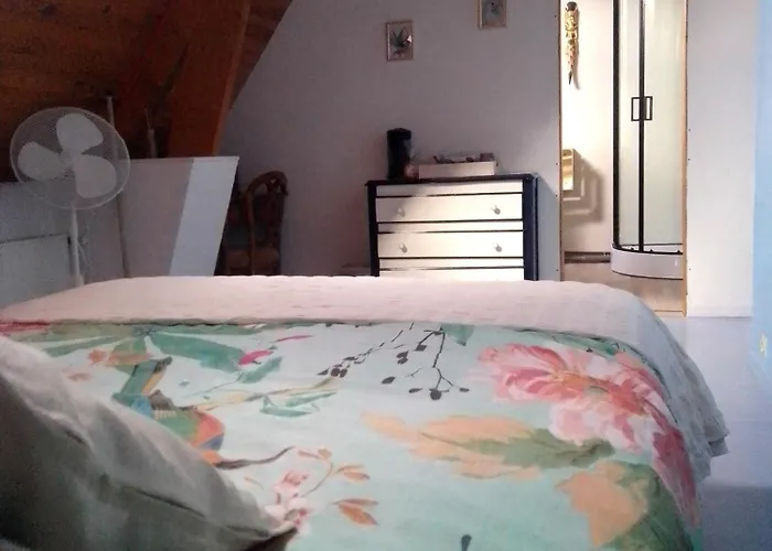 بيت ضيافة Le Clos Fleuri Ségrie